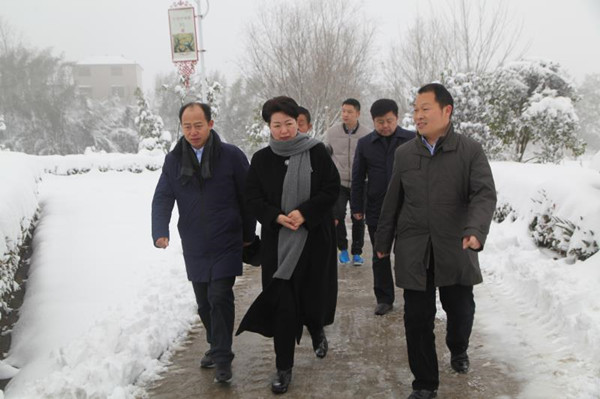 微信图片_20180105170955_副本.jpg