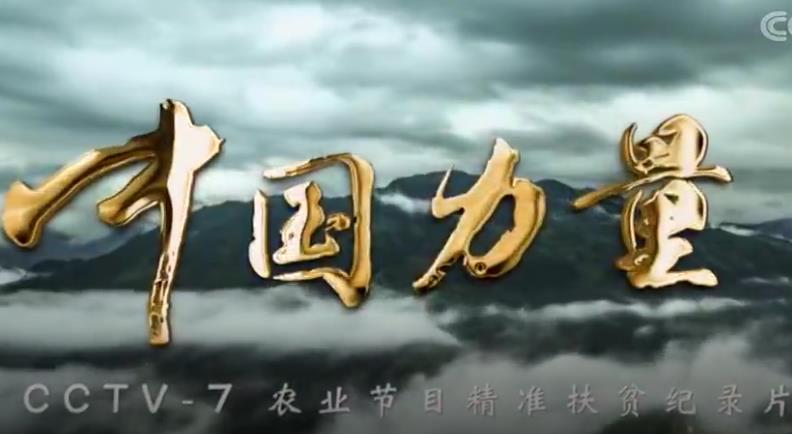 中国力量（第三集）